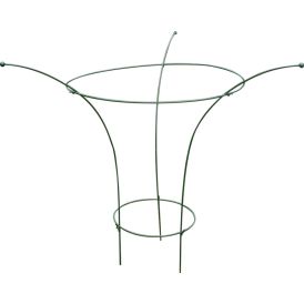 Taimetugi pojengile 90 cm