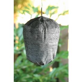 Herilasepesa