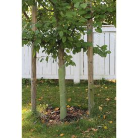 Tüvekaitse biolagunev 60 cm