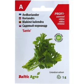 Koriander Baltic Agro ‘Santo’