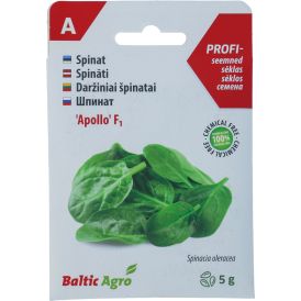 Spinat Baltic Agro Apollo F1