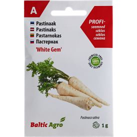 Pastinaak Baltic Agro White Gem