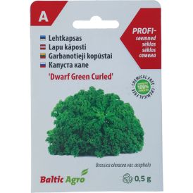 Lehtkapsas Baltic Agro Dwarf Green Curled