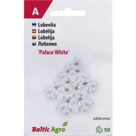 Lobeelia Baltic Agro White Palace