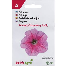 Petuunia Baltic Agro ‘Celebrity Strawberry Ice’