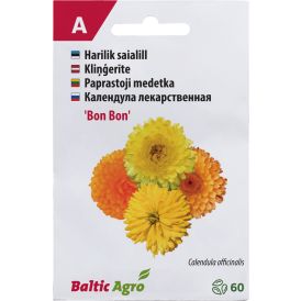 Saialill Baltic Agro ‘Bon Bon’