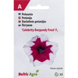 Petuunia Baltic Agro ‘Celebrity Burgundy Frost’