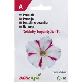 Petuunia Baltic Agro ‘Celebrity Burgundy Star’