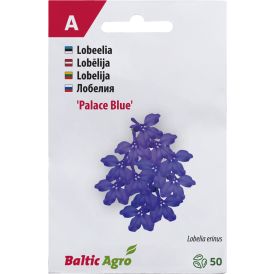 Lobeelia Baltic Agro ‘Blue Palace’