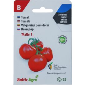 Tomat Baltic Agro ‘Malle’ F1