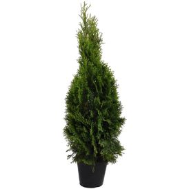 Harilik elupuu Smaragd Ø 23 cm