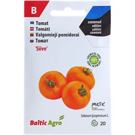 Tomat Baltic Agro ‘Siive’