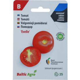 Tomat Baltic Agro ‘Evelle’