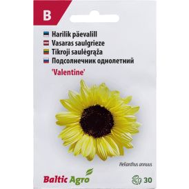 Päevalill Baltic Agro ‘Valentine’