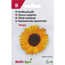 Päevalill Baltic Agro ‘Soraya’