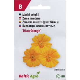 Peiulill Baltic Agro ‘Disco Orange’