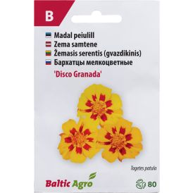 Peiulill Baltic Agro ‘Disco Granada’
