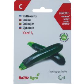 Rullkõrvits Baltic Agro ‘Cora’ F1