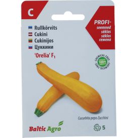 Rullkõrvits Baltic Agro ‘Orelia’ F1