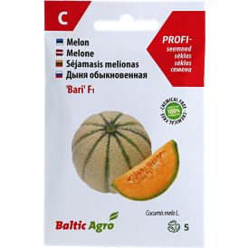 Melon Baltic Agro ‘Bari’ F1