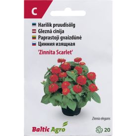 Pruudisõlg Baltic Agro ‘Zinnita Scarlet’