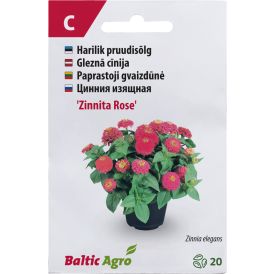Pruudisõlg ‘Zinnita Rose’