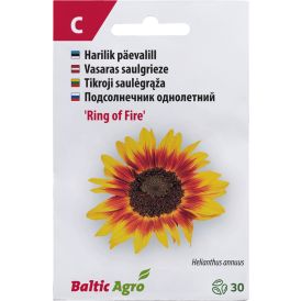 Päevalill ‘Ring of Fire’