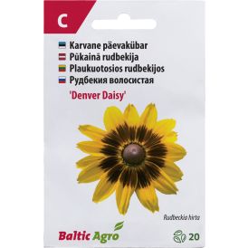 Päevakübar ‘Denver Daisy’