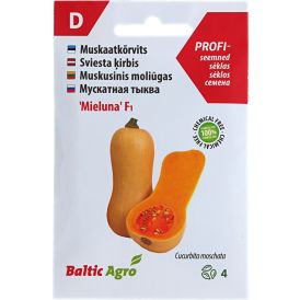 Muskaatkõrvits ‘Mieluna’ F1