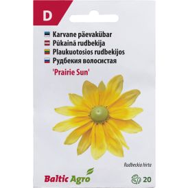 Päevakübar ‘Prairie Sun’