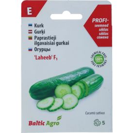 Kurk Baltic Agro ‘Laheeb’ F1