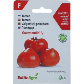 Tomat Baltic Agro ‘Gourmandia’ F1