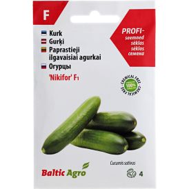 Kurk Baltic Agro ‘Nikifor’ F1