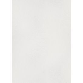Fliistapeet Erismann Envogue Wiper 10403-01 valge