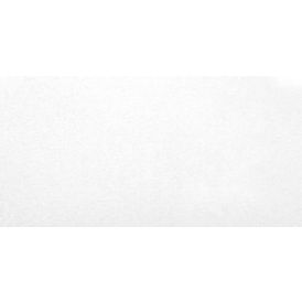 Seinaplaat 30 x 60 cm valge