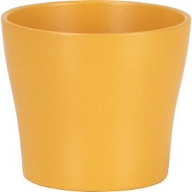 Ümbrispott Curcuma Ø 11 cm