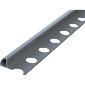 Plaadiliist Dione ümar alu hõbedane matt 10 x 2500 mm