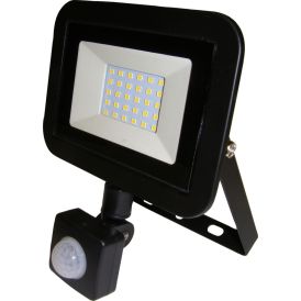 LED-prožektor Acuma Mini liikumisanduriga 30 W