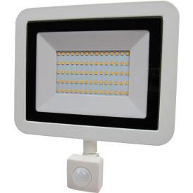 LED-prožektor Acuma Mini liikumisanduriga 50 W valge