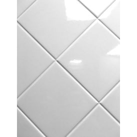 Seinaplaat 10 x10 cm läikiv valge