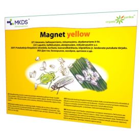 Magnet yellow liimpüünis