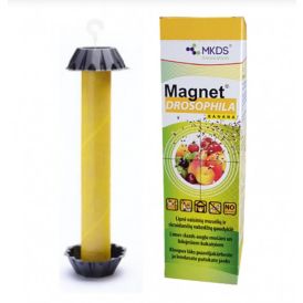 Liimpüünis äädikakärbestele Magnet Drosophila Banana