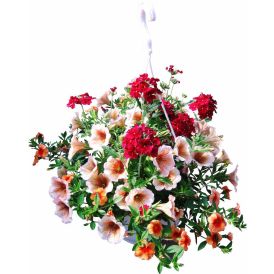 Suvelilleampel Confetti mix