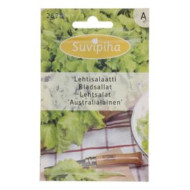Lehtsalat Australialainen Suvipiha 2g
