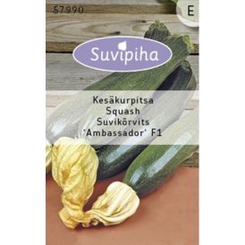 Suvikõrvits Ambassador F1