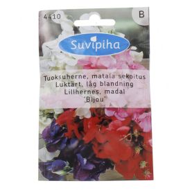 Lillhernes Bijou madal Suvipiha 5g
