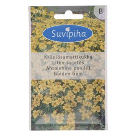 Peiulill ahtalehine Golden Gem Suvipiha 0,3g