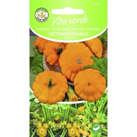 Patisson Patisson Orange