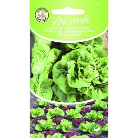 Rooma salat Littlegem
