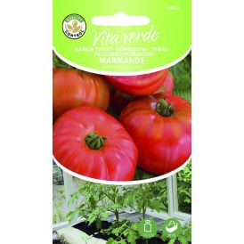 Tomat Marmande